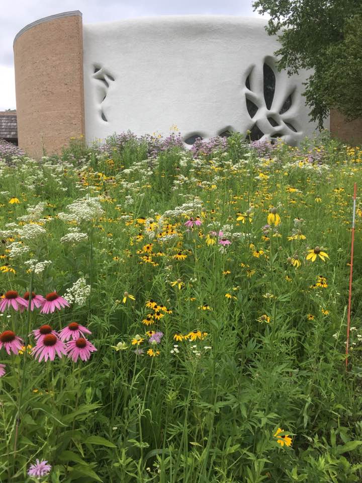 Photograph of church exterior with flowers